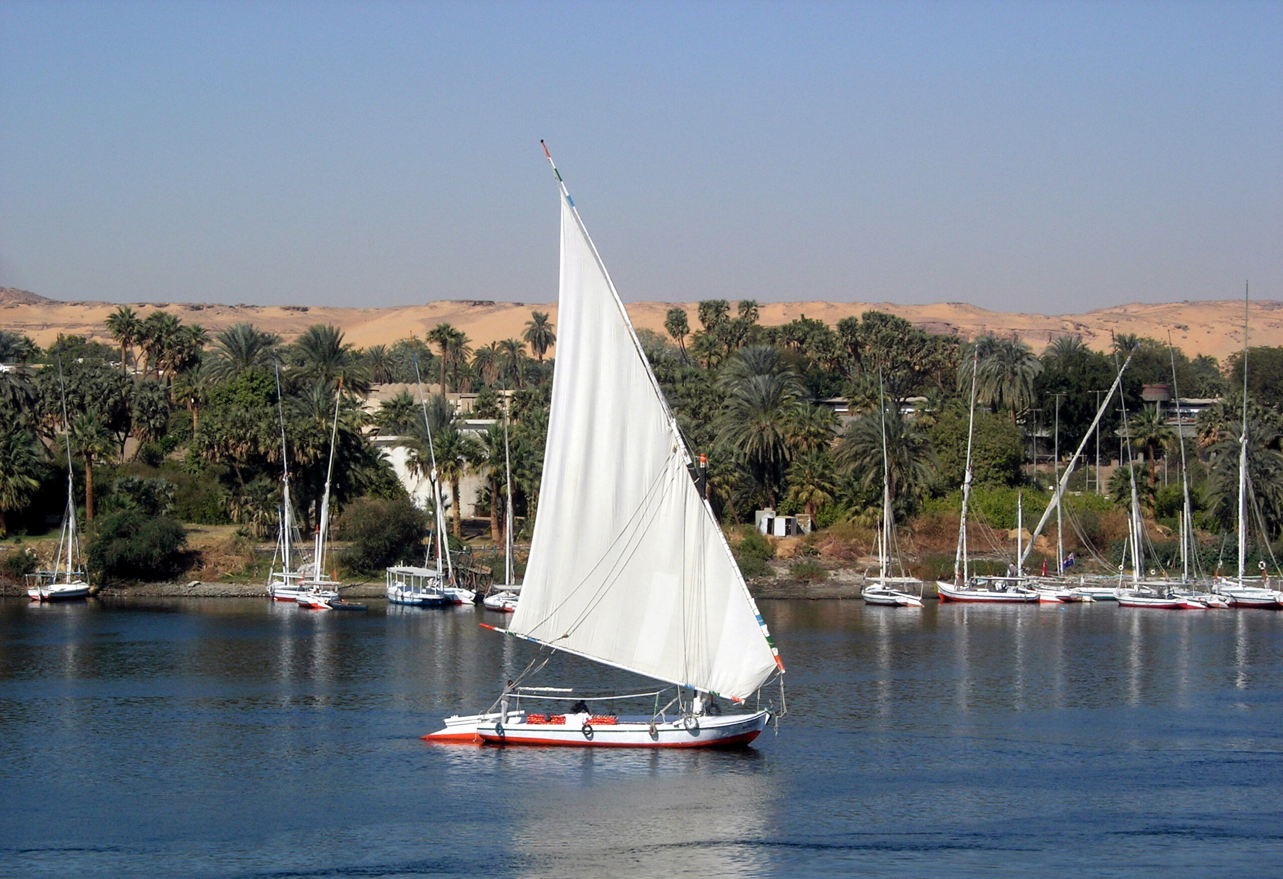 sail Aswan Felucca Day Tour