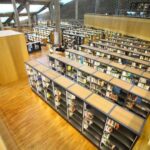 Bibliotheca Alexandrina Library Tour